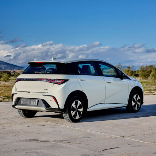 BYD – Dolphin- WPD  Abrufscheine für Gesundheitswesen  Menschen mit Behinderung  Pflegestufe und pflegende Angehörige