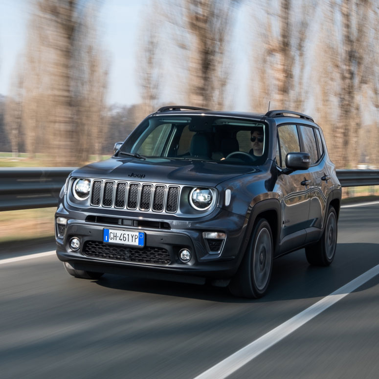 Renegade e-Hybrid - WPD  Abrufscheine für Gesundheitswesen  Menschen mit Behinderung  Pflegestufe und pflegende Angehörige